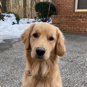 Meet your Posher, Stuart